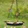 Mesh Platform Feeder with micro-mesh flooring, birds eating from it. Includes decorative gold-colored scrollwork and a 19-1/4 inch hanging chain.