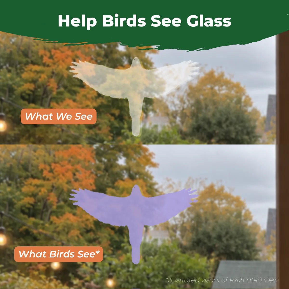 Comparison showing how a translucent hawk window decal appears subtle to people but more visible to birds.