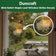Duncraft Bird-Safe maple leaf window strike decal displayed on a window with a close-up showing its translucent appearance.