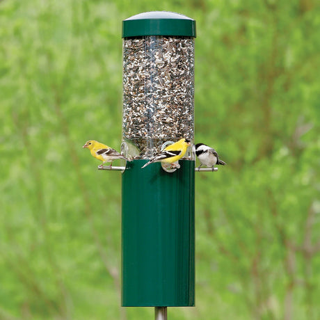 Classic Bird Feeder with Pole & Baffle, Red, features three songbirds feeding, showcasing its four-port design and squirrel-resistant baffle against a leafy backdrop.