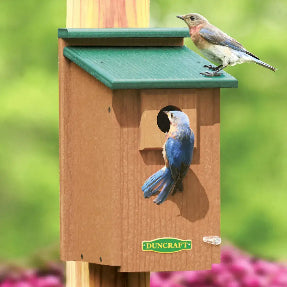 All Bird Houses