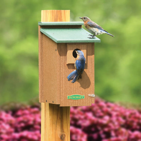 All Bird Houses