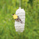Duncraft Nest Builder, Set of 2, featuring a yellow and black bird perched on a white cotton-filled net, ideal for nesting.