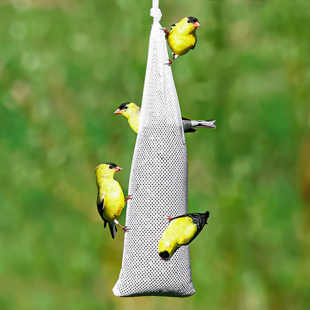 Filled Nyjer® Stocking, Set of 3, showing mesh bags with Nyjer® seed designed for easy bird clinging, ideal for attracting finches.
