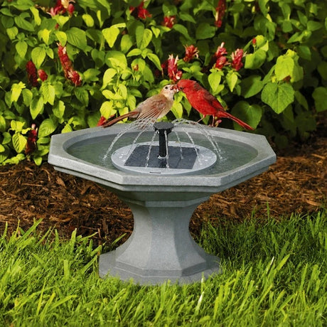 Newton Bird Bath featuring a short pedestal, solar fountain, 17-inch diameter, perfect for small spaces. Birds perched and enjoying the water. 