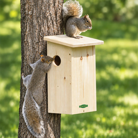 Duncraft Squirrel House with two squirrels exploring the birdhouse, featuring a 3-inch side entry hole and slanted roof for rain protection.