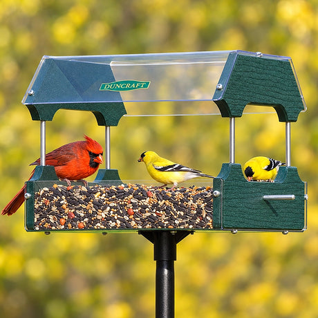 Duncraft Eco-Strong Platform Feeder & Pole with birds feeding, featuring clearview plastic roof and floor, green recycled plastic sides, and a sectional mounting pole.
