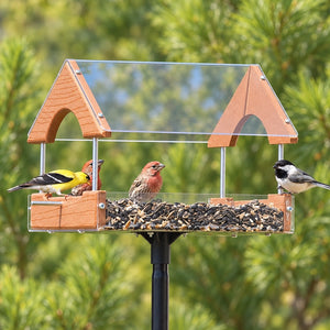 Duncraft Classic Platform Pole Feeder with birds eating, featuring brown sides, clear roof, and mounted on a 72-inch pole for easy placement and cleaning.