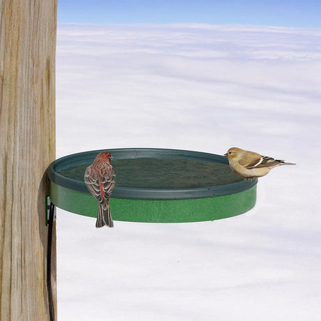 All Season 3 in 1 Heated Bath on a wooden post with two finches perched on the rim, keeping water ice-free in snowy conditions.