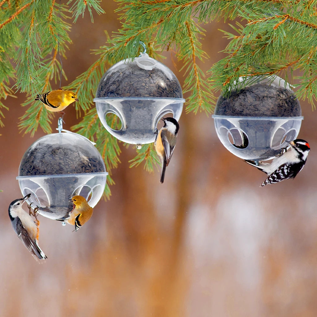 Duncraft Cling-A-Wing™ Bird Feeder, Set of 3, with songbirds feeding, features clear globe design filled with black oil sunflower seeds.
