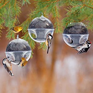 Duncraft Cling-A-Wing™ Bird Feeder, Set of 3, with songbirds feeding, features clear globe design filled with black oil sunflower seeds.