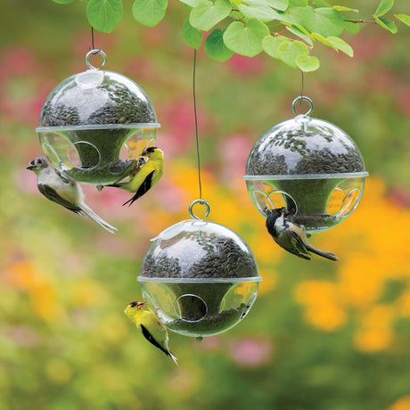 Duncraft Bird Feeders