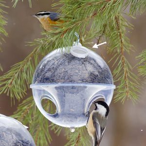 Duncraft Replacement 4 oz Clear Ramekin Cup for Bird Feeders, filled with seeds, hangs from a branch with two songbirds feeding.
