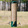 MAGNET® Squirrel-Resistant Bird Feeder with three songbirds perched; chickadee and two goldfinches. Features magnetic, weight-activated perches and adjustable sensitivity.
