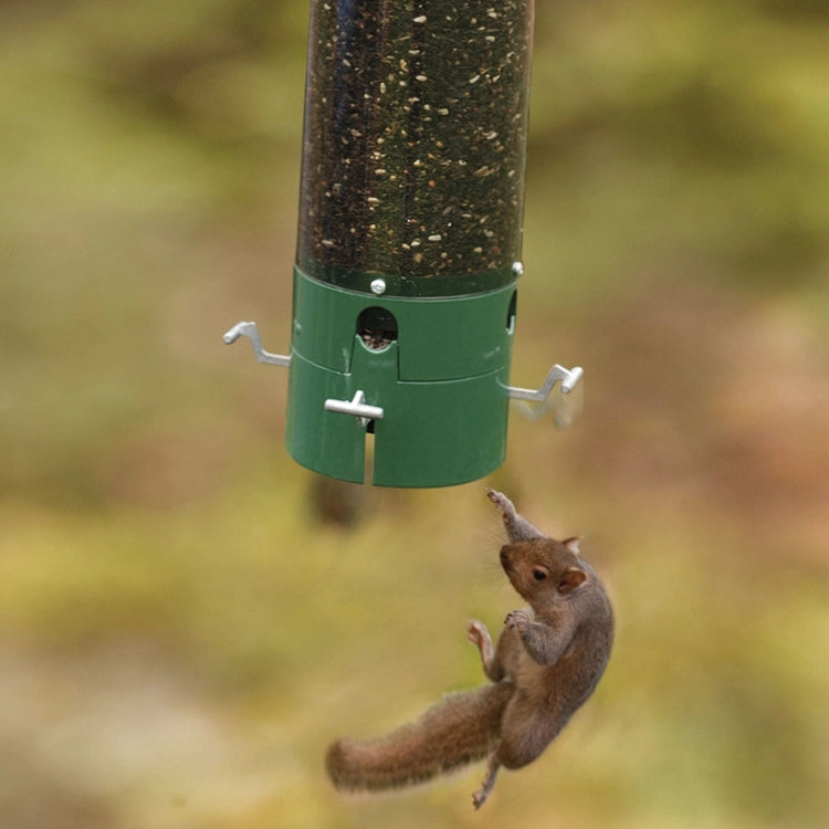 The Bouncer Squirrel-Resistant Tube Bird Feeder with a squirrel attempting to access the seed, highlighting its weight-sensitive, counterbalanced perches that deter intruders.
