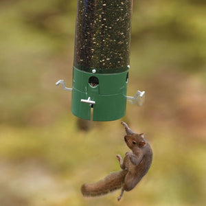 The Bouncer Squirrel-Resistant Tube Bird Feeder with a squirrel attempting to access the seed, highlighting its weight-sensitive, counterbalanced perches that deter intruders.