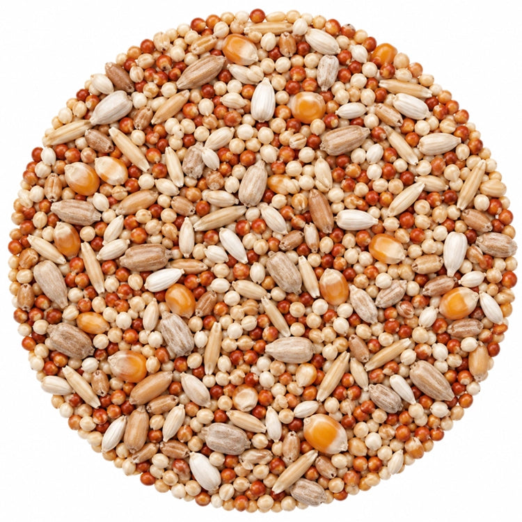 Circular blend of millet, milo, wheat, popcorn kernels, oat groats, safflower seed, and sunflower hearts on a white background.