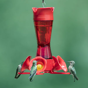 Pinch Waist Hummingbird Feeder with three hummingbirds drinking from flower-shaped ports, featuring four feeding stations and an ant moat.