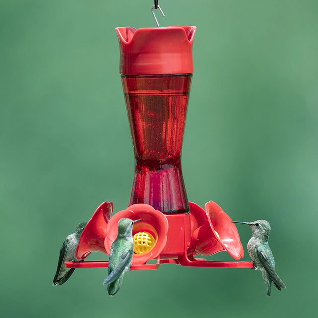 Pinch Waist Hummingbird Feeder with three hummingbirds drinking from flower-shaped ports, featuring four feeding stations and an ant moat.