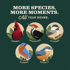 "More species, more moments, all year round.” Illustrations of a cardinal, woodpecker, chickadee, bluebird and nuthatch.