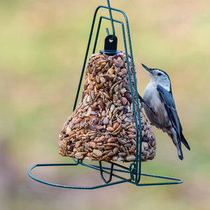 A small white-breasted bird perched on a green metal bell-shaped bird feeder filled with sunflower seeds and peanuts, against a softly blurred outdoor background.