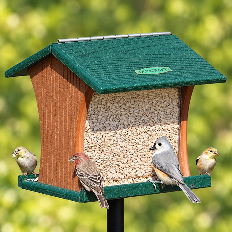 Duncraft Eco-Strong Hopper & Pole with multiple birds feeding, showcasing its roomy perch and durable, handcrafted construction.