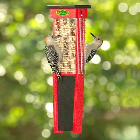 Suet and Block Feeders