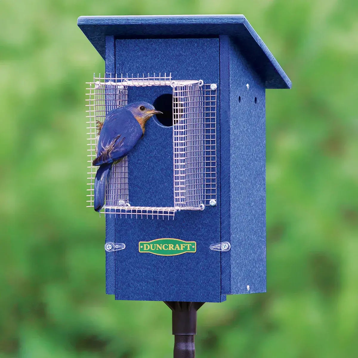 Angled view of a blue birdhouse with a circular entrance hole and extended wire predator guard, mounted on a pole against a green forest background.