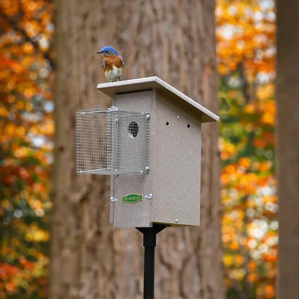 A bluebird perches on the roof of a beige birdhouse mounted on a pole, featuring a wire predator guard around the entrance hole, set against a blurred autumn forest background.