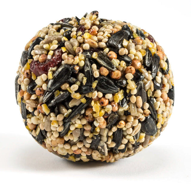 Duncraft Very Berry Wild Bird Seed Balls, close-up of compact seed mixture for birds, designed to fit feeders, available in sets of 12 or 24.