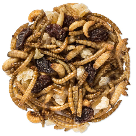 Duncraft Happy Bird Trail Mix Wild Bird Food, 7-1/2 oz. bag, features protein-rich mealworms, peanut chips, and fruit pieces, ideal for attracting and feeding bluebirds.