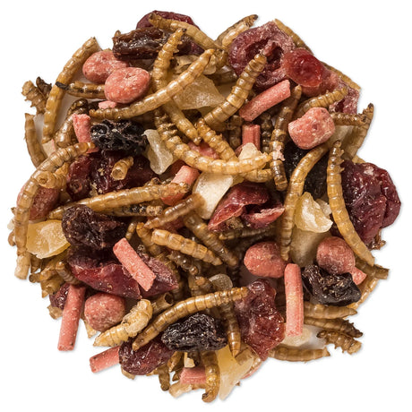 Duncraft Berry Delight Trail Mix Wild Bird Food in a 7 oz. resealable bag, featuring dried mealworms and fruit pieces for feeding bluebirds and fruit-eating birds.