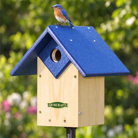 Duncraft Chalet Bluebird House & Pole: Bluebird perched on blue birdhouse with predator guard, overhanging roof, and ventilation, mounted on a 72-inch pole.