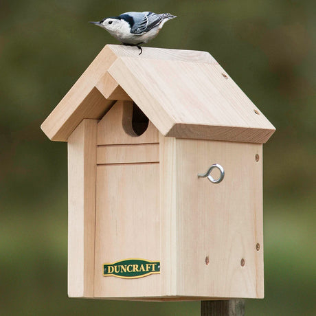 duncraft.livemon Bird Pine Nesting House with a bird perched on its roof, featuring an overhanging roof, recessed entrance, and side hook for easy cleaning.