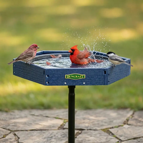 Blue pedestal bird bath with a hexagonal basin filled with water, attracting several songbirds. A bright red cardinal splashes in the water while a finch and chickadees perch along the rim against a soft green garden background.