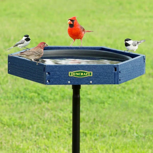 Durable blue recycled-plastic pedestal bird bath with a wide hexagonal basin. Multiple backyard birds, including a cardinal, finch, and chickadees, gather on the rim while one bird bathes in the shallow water.