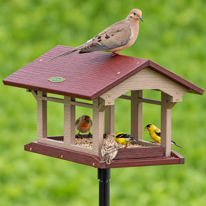 Mourning dove perched atop a Duncraft covered platform feeder with goldfinches and house finches feeding below.