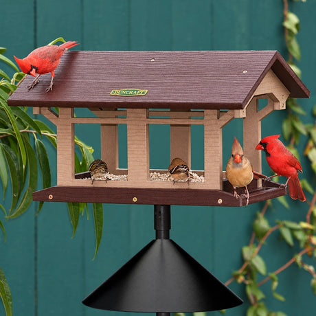 Duncraft Covered Bridge Feeder with Pole, Twister & Baffle, featuring birds feeding from all sides of the platform with built-in perches and drainage with Cardinals and other birds eating. 