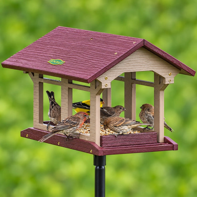 House finches and a goldfinch gathered around the seed tray of a burgundy and taupe Duncraft platform feeder.