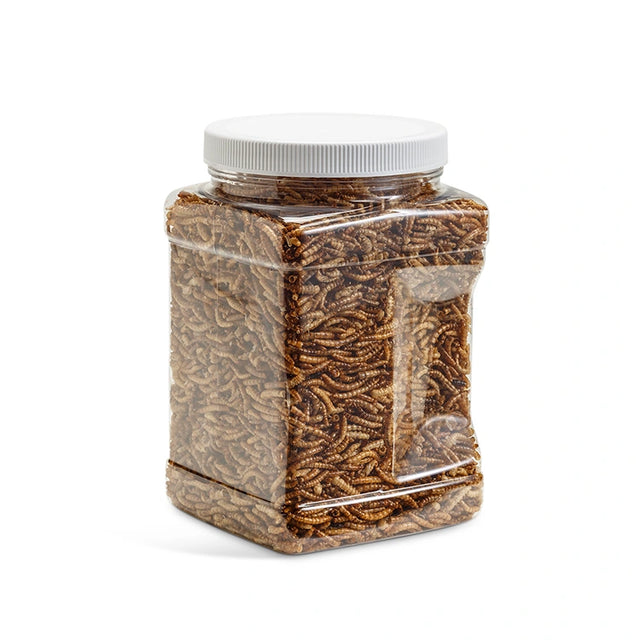 Duncraft Dried Mealworms, 12 oz., shown in a plastic container with brown insects, ideal for feeding insect-eating birds year-round.