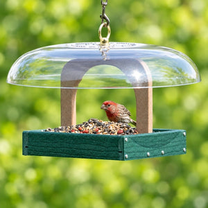 Male house finch feeding in a green hanging platform bird feeder beneath a clear dome roof.