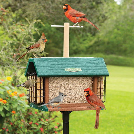 Hopper Bird Feeders