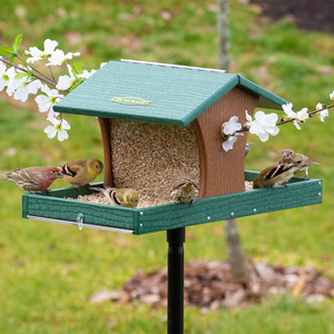 Duncraft Cardinal Landing Tray Feeder with Pole featuring green roof, two trays with birdseed, and five finches, framed by spring blossoms.