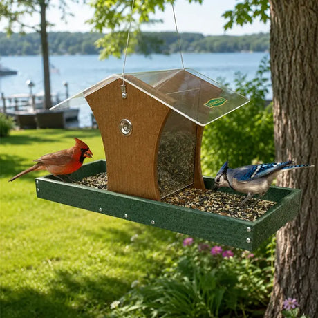 Bird feeder with two birds, a cardinal and a blue jay, in a garden setting with a lake in the background.