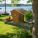 Bird feeder with two birds, a cardinal and a blue jay, in a garden setting with a lake in the background.