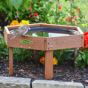Bird baths for providing fresh water to birds. 