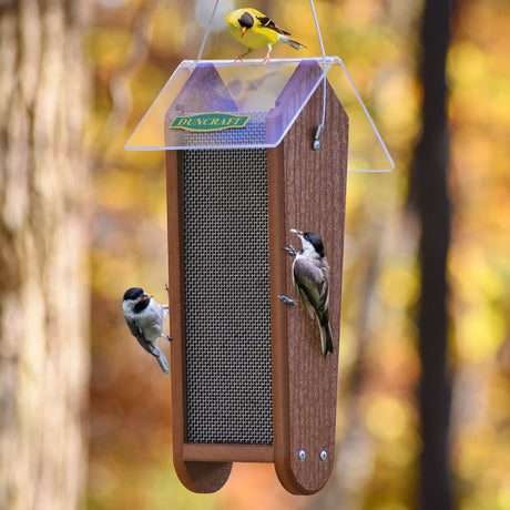 Duncraft Garden Nyjer® Feeder with metal-mesh seed chamber and clear roof, hosting three songbirds. Ideal for small birds to cling and feed on both sides.