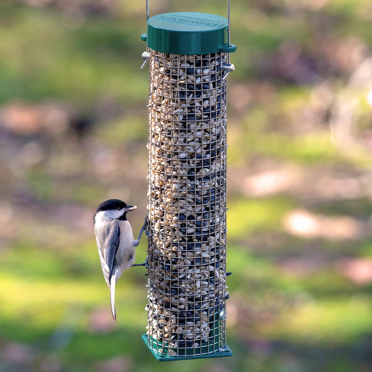 Duncraft Mini Mesh Feeder with wire mesh holds mixed seeds, including black-oil sunflower, as a black-capped chickadee feeds outdoors.