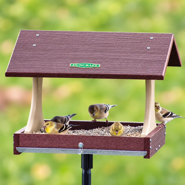 Duncraft Birdwatcher's Platform Feeder with Pole showing multiple birds feeding on the wide open mesh platform.