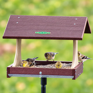 Duncraft Birdwatcher's Platform Feeder with Pole showing multiple birds feeding on the wide open mesh platform.